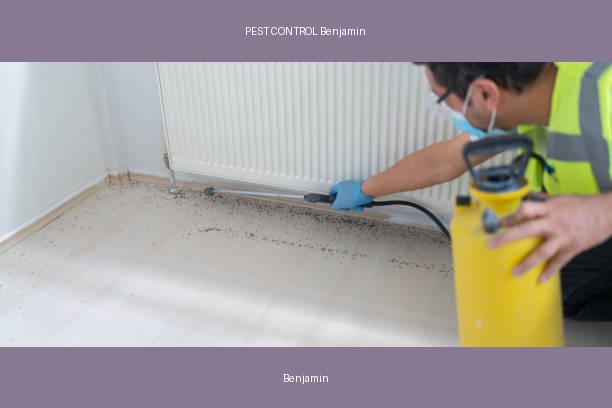 PEST CONTROL Benjamin